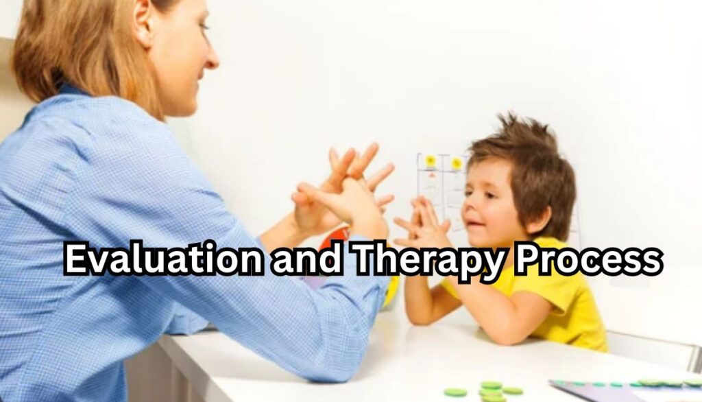 Evaluation and Therapy Process