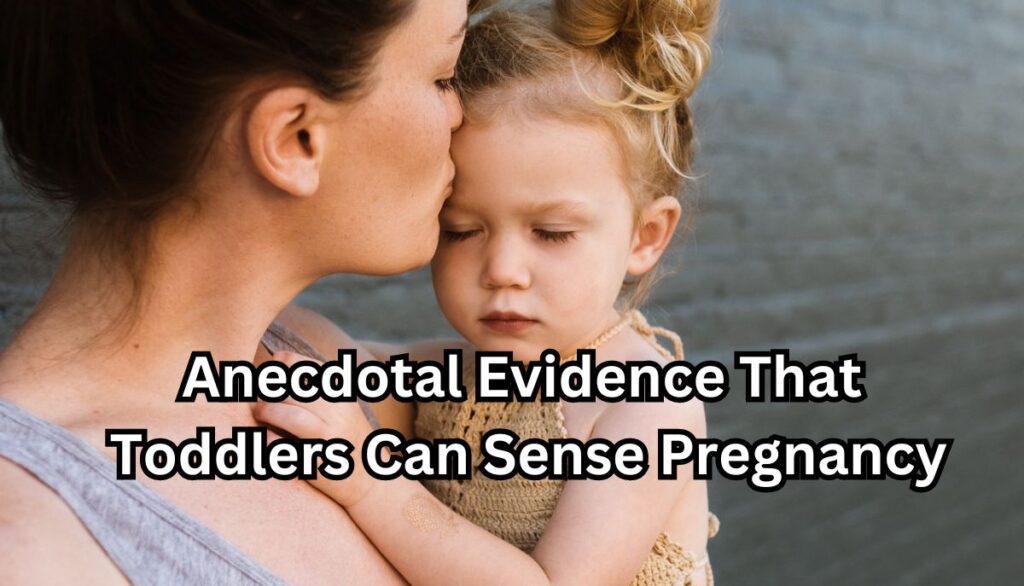 Anecdotal Evidence That Toddlers Can Sense Pregnancy