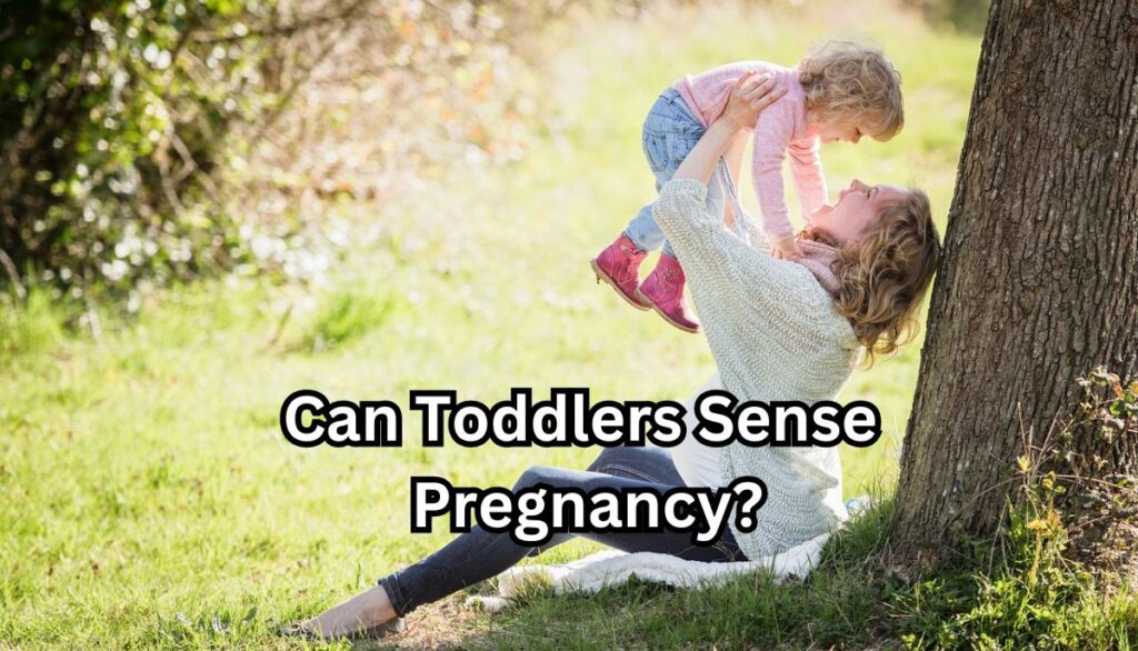 Can Toddlers Sense Pregnancy