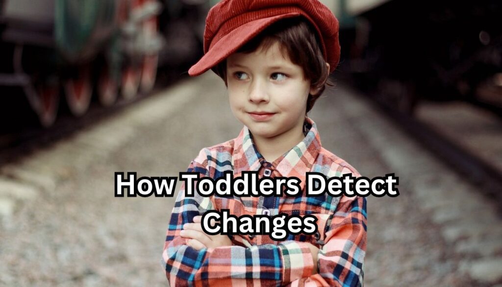 How Toddlers Detect Changes