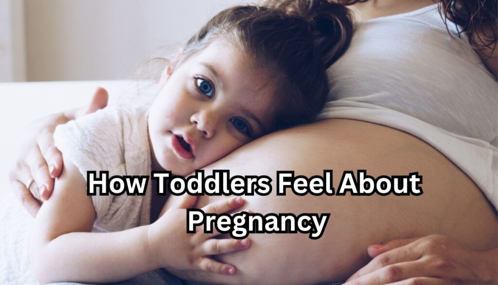 How Toddlers Feel About Pregnancy